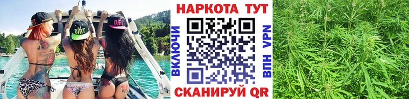 Галлюциногенные грибы Дрезна