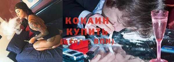 винт Абаза
