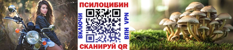 Псилоцибиновые грибы MAGIC MUSHROOMS Дрезна